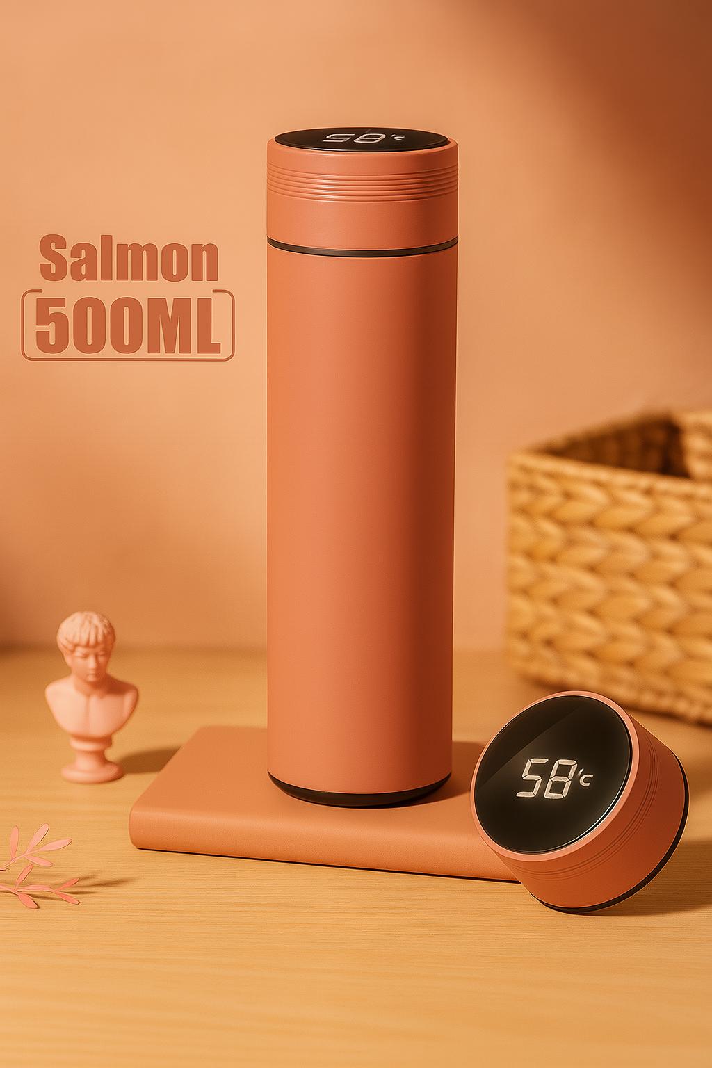 500ml Insulated Thermos Bottle 500ml Insulated Thermos Bottle